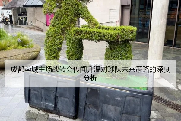成都蓉城主场战转会传闻升温对球队未来策略的深度分析